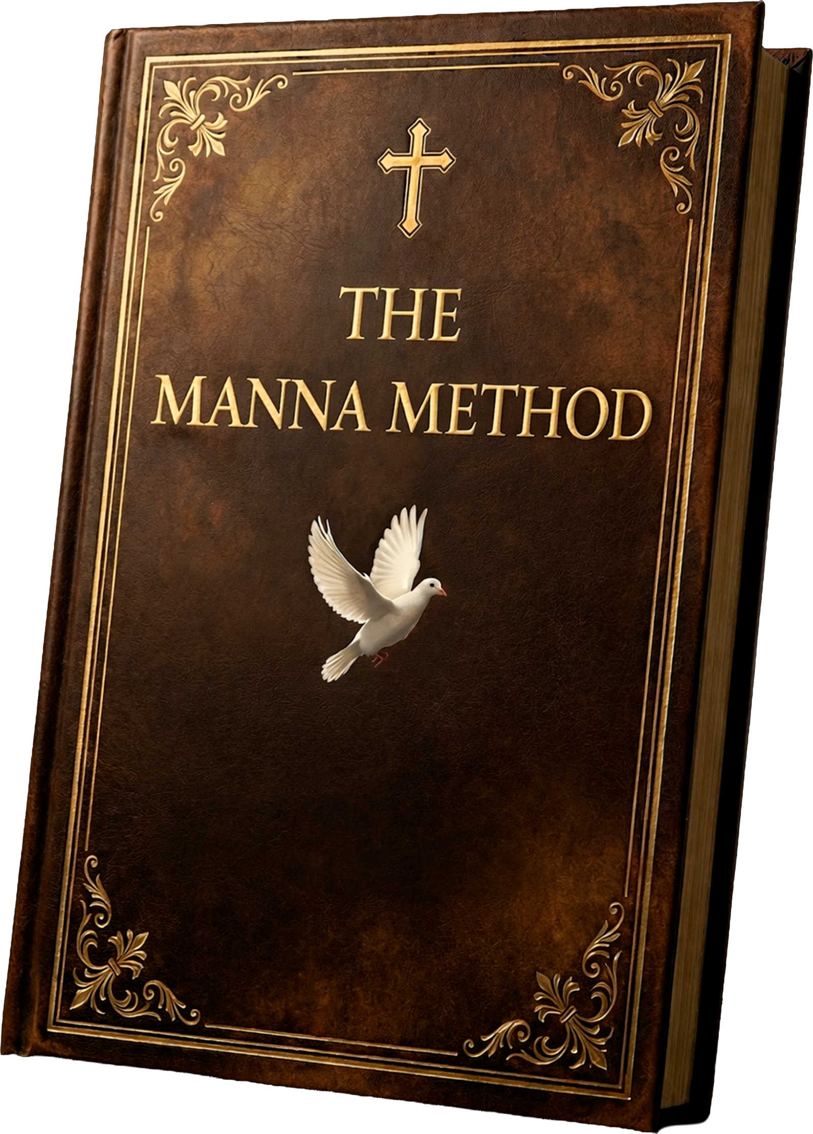 The Manna Method cover mockup